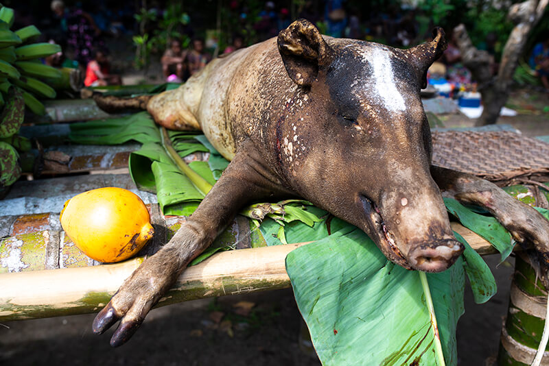 A roast pig lays on giant leaves, with a lemon nearby for flavouring